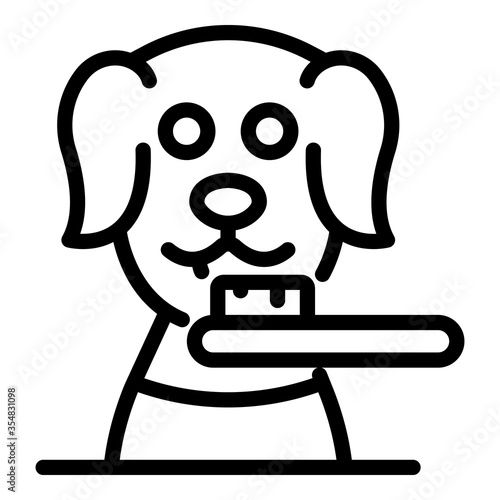 Groomer dog brush icon. Outline groomer dog brush vector icon for web design isolated on white background