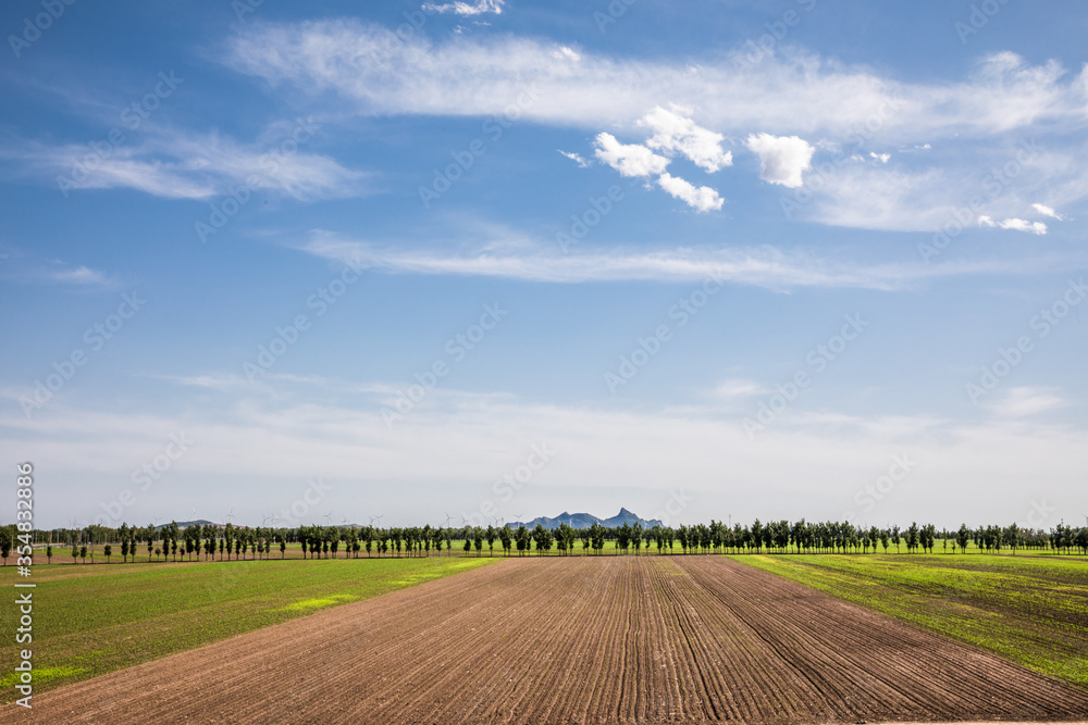 Spring farmland and clear sky