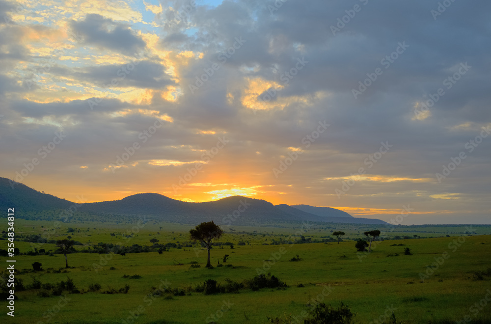 Sunrise in african savanna, Masai Mara national park, Kenya, Africa
