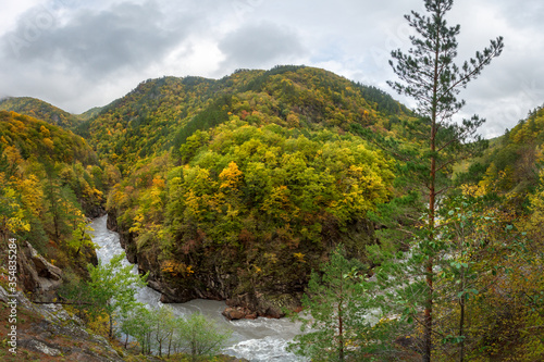 A panoramic landscape view with a high hill covered by an autumn forest and a fast mountain river flowing in a deep rocky canyon
