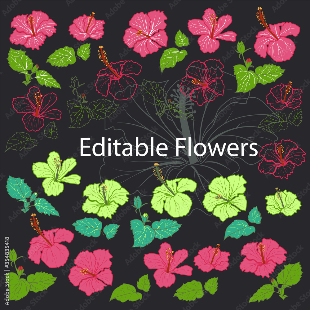 Hibiscus flower set. Karkade Tropical flowers, leaves and bud. Outline, colorful, editable strokes. Hand drawn isolated illustration. Summer hawaiian blooming hibiscus, vector design elements