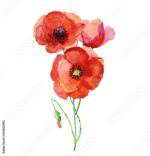 Set of red poppies. Colorful flowers. Watercolor hand drawn illustration isolated on white background.