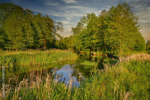 Grabia River surrounded by fields and forests in central Poland. photo