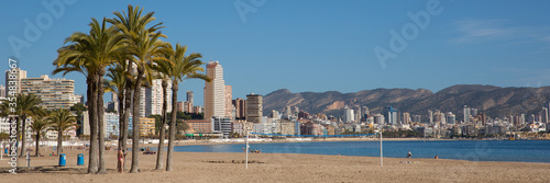 Palm trees Benidorm Spain Poniente beach panoramic view © acceleratorhams