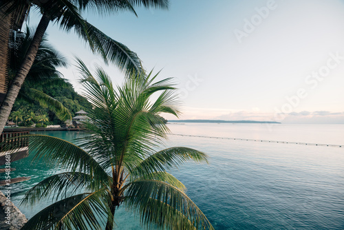 Coconut Palm Trees with Blue Sea