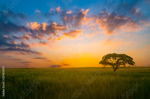 Colorful of clouds and blue sky with sun set for nature textured background