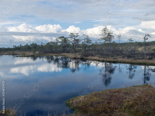 landscape with old peat bogs and swamp vegetation. The bog pond reflects small pines, bushes and cloudy skies. Niedraju Pilkas swamp, Latvia