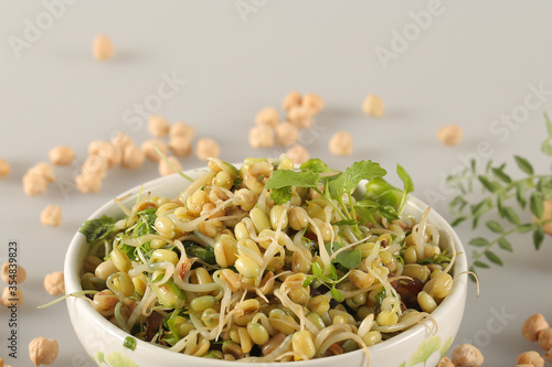 salad of sprouts and microgreens is on the table photo