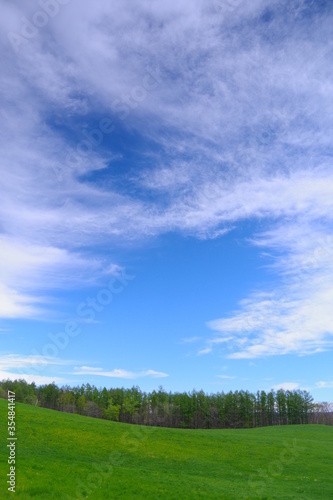 白い雲の浮かぶ青空と草原。北海道、日本。 © Masa Tsuchiya