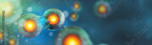 Cell embryo, Mitosis under microscope. Cells background with copy space (3d microbiology render banner) photo