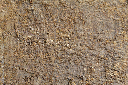 Old Weathered Brown Wood Texture