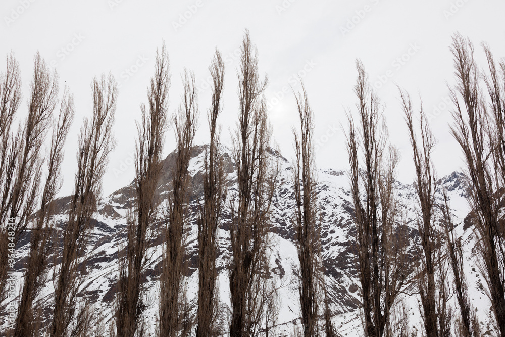 Obraz premium Winter Landscape Mountain