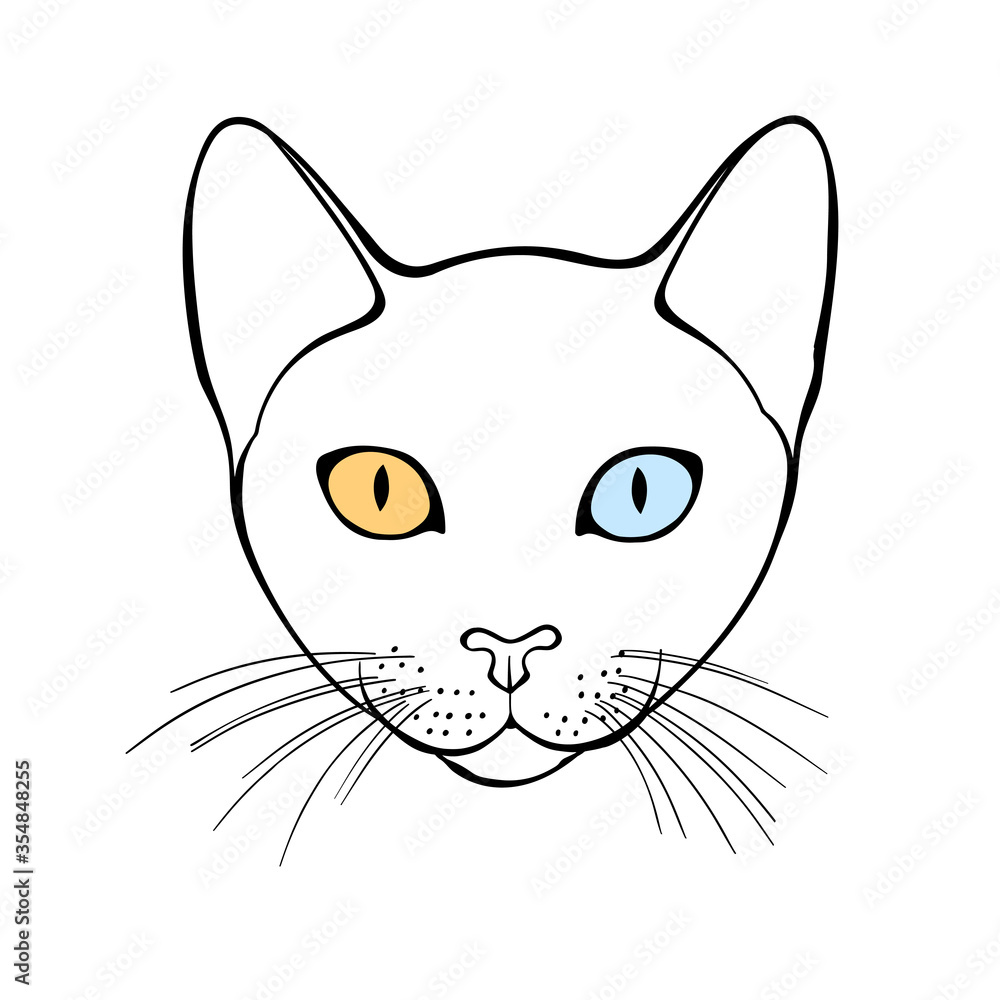 Cao mani, cat face. Hand-drawn vector illustration on white. Isolated element for design. Cao mani, cat face. Hand-drawn vector illustration on white. Isolated element for design.
