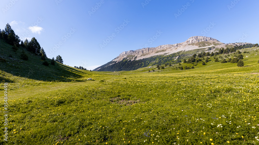 landscape of the high plateaus of the South Vercors, Combeau valley, France