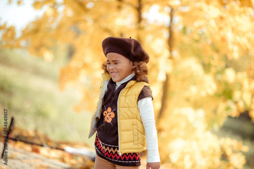 adorable little girl with autumn leaves in the beauty park. adorable little girl with autumn leaves in the beauty park.