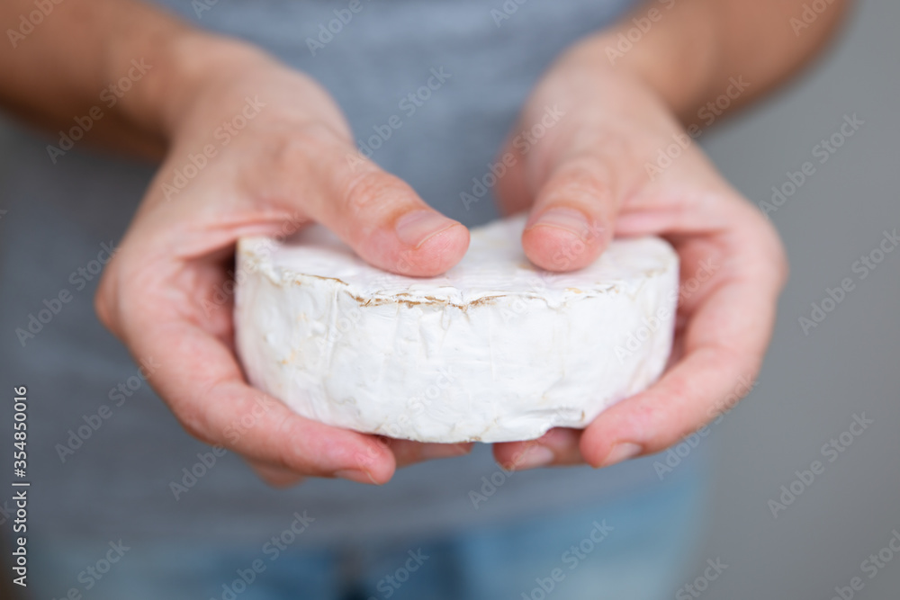 Hands holding soft cheese. Tasty brie or camembert. Studio shot. Selective focus. Front view. Dairy meal and cooking on isolation concept for flyers and banners