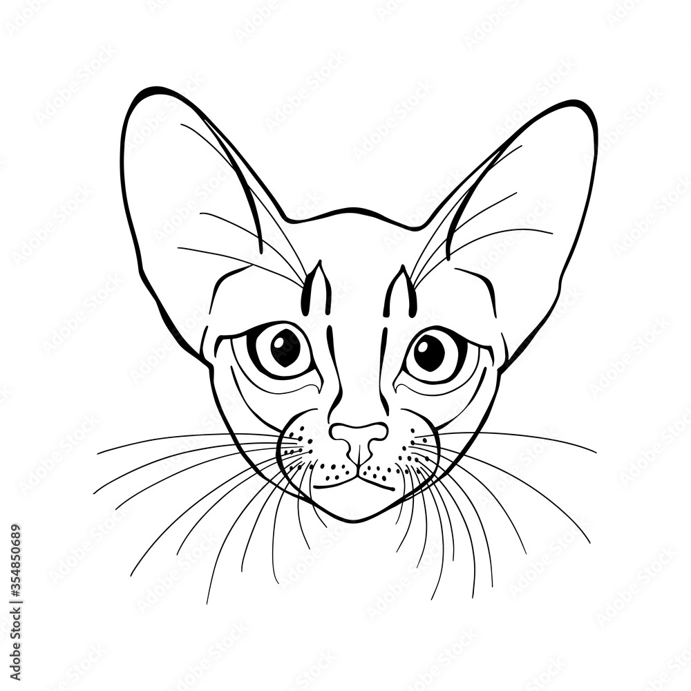 Abyssinian cat face. Hand-drawn vector illustration. Sketch. Line art. Abyssinian cat face. Hand-drawn vector illustration. Sketch. Line art.