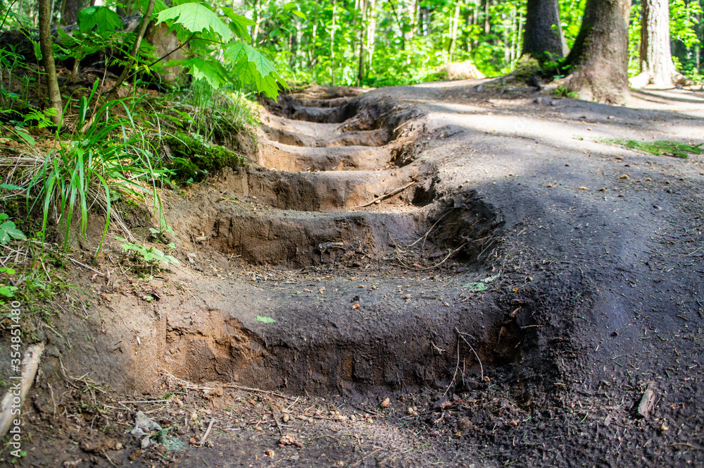 Homemade steps carved into the ground. 02 June 2020. Minsk. Belarus Homemade steps carved into the ground. 02 June 2020. Minsk. Belarus