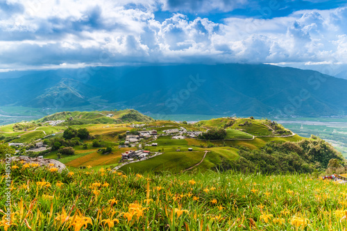 Canvas Print Daylily flower farm at Liushidan Mountain in Hualien, Taiwan
