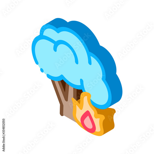 Fire Burning Tree Icon Vector. Isometric Fire Burning Tree sign. color isolated symbol illustration