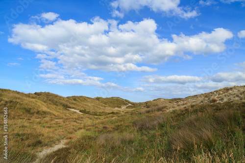 Sand dunes covered in beach grasses, with a blue sky full of fluffy white clouds above. Papamoa, New Zealand © Michael