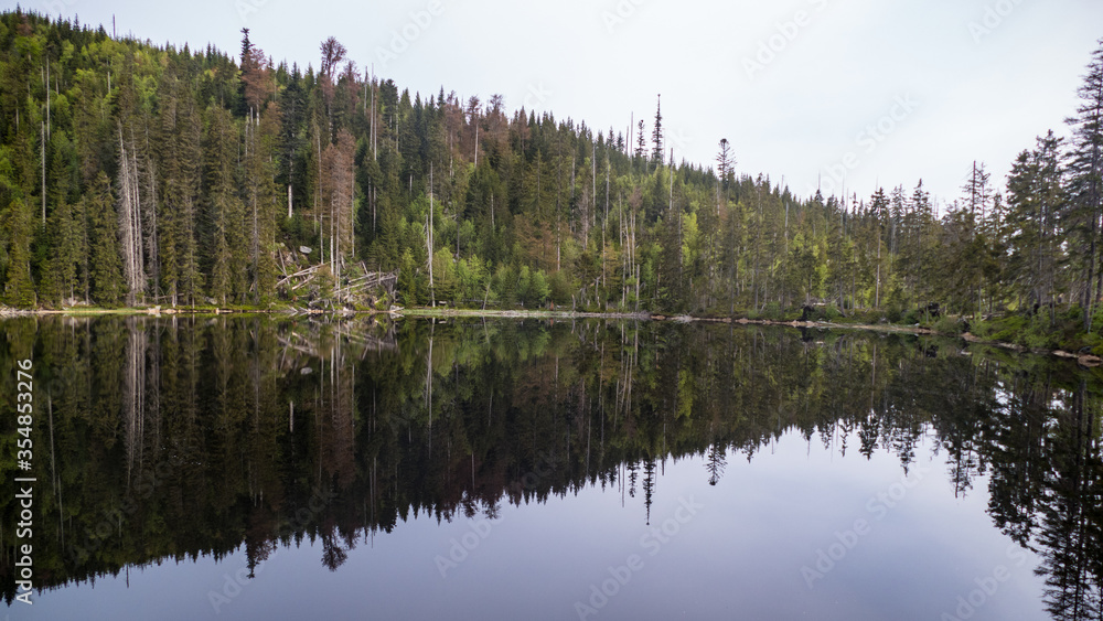 lake in sumava natural park in czechia