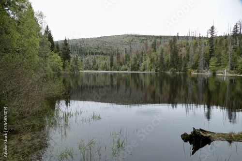 lake in sumava natural park in czechia photo