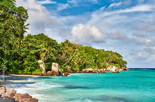 Beach with palm tree and rocks landscape