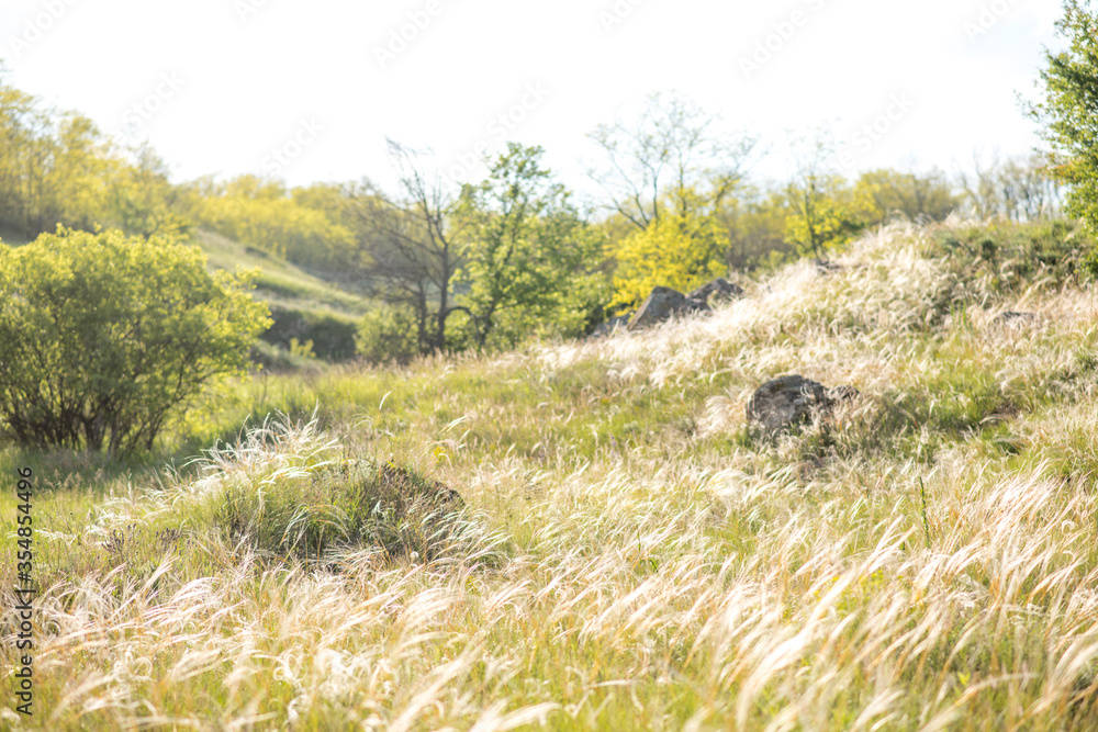 Kovel in the fields. Fields of Kovel. Summer nature
