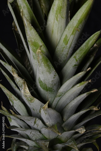 Ripe pineapples leaves