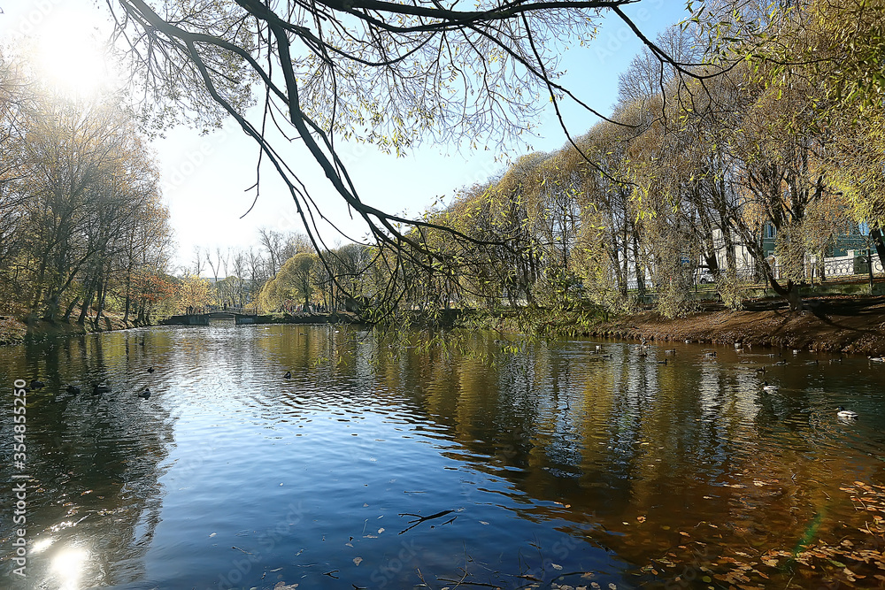 Obraz premium autumn landscape in the park / seasonal yellow landscape sunny park with fallen leaves