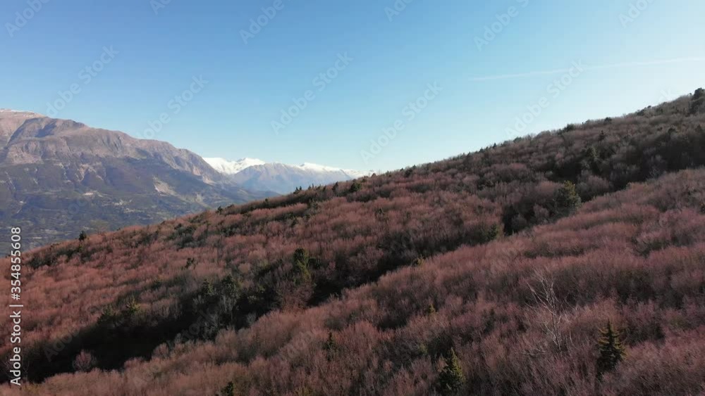 AERIAL Drone hovering quickly over wooded mountain side AERIAL Drone hovering quickly over wooded mountain side