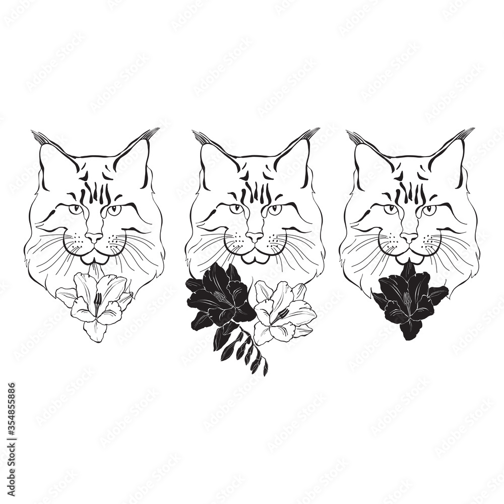 Fototapeta premium Maine coon face and freesia flowers. Hand-drawn vector illustration. Sketch. Line art. Three isolated elements for design.