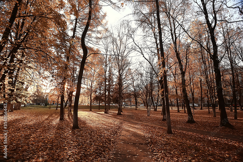 autumn landscape in the park / seasonal yellow landscape sunny park with fallen leaves
