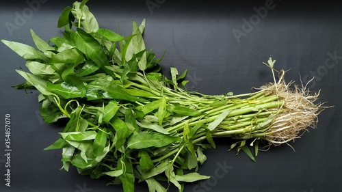 Kale green or kangkung in Indonesia on black isolated background photo