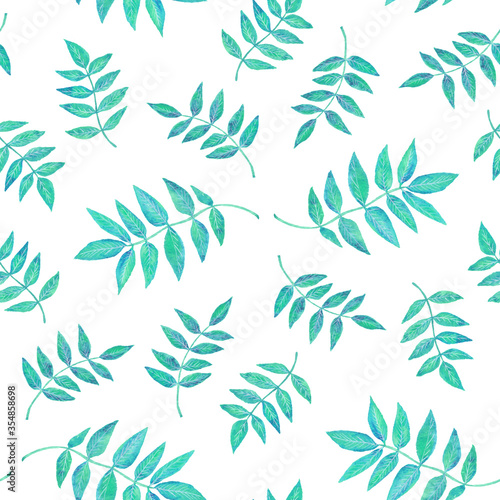 Common ash turquoise green leaves  hand painted watercolor illustration seamless pattern design on white