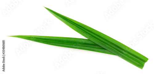 fresh pandan leaves isolated on white background, top view