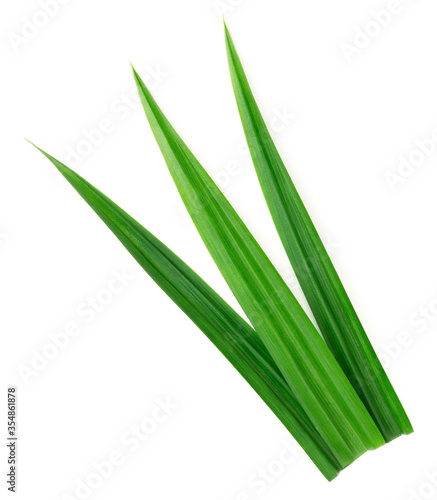 fresh pandan leaves isolated on white background  top view