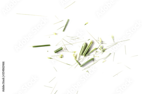 Green cut grass stems, stalks isolated on white background, organic texture, top view