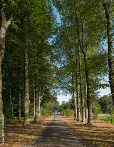 Huis Westerbeek. Estate. Fall. Autumn.. Beechtrees. Maatschappij van Weldadigheid Frederiksoord. Drenthe. Netherlands. Lane structure.