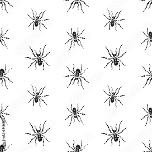 Seamless pattern of drawn poisonous spiders