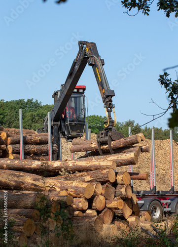 Forestry. Silviculture. Logging. Cut trees. Crane. Truck. Transport. Forest Maatschappij van Weldadigheid Frederiksoord. Drenthe. Netherlands
