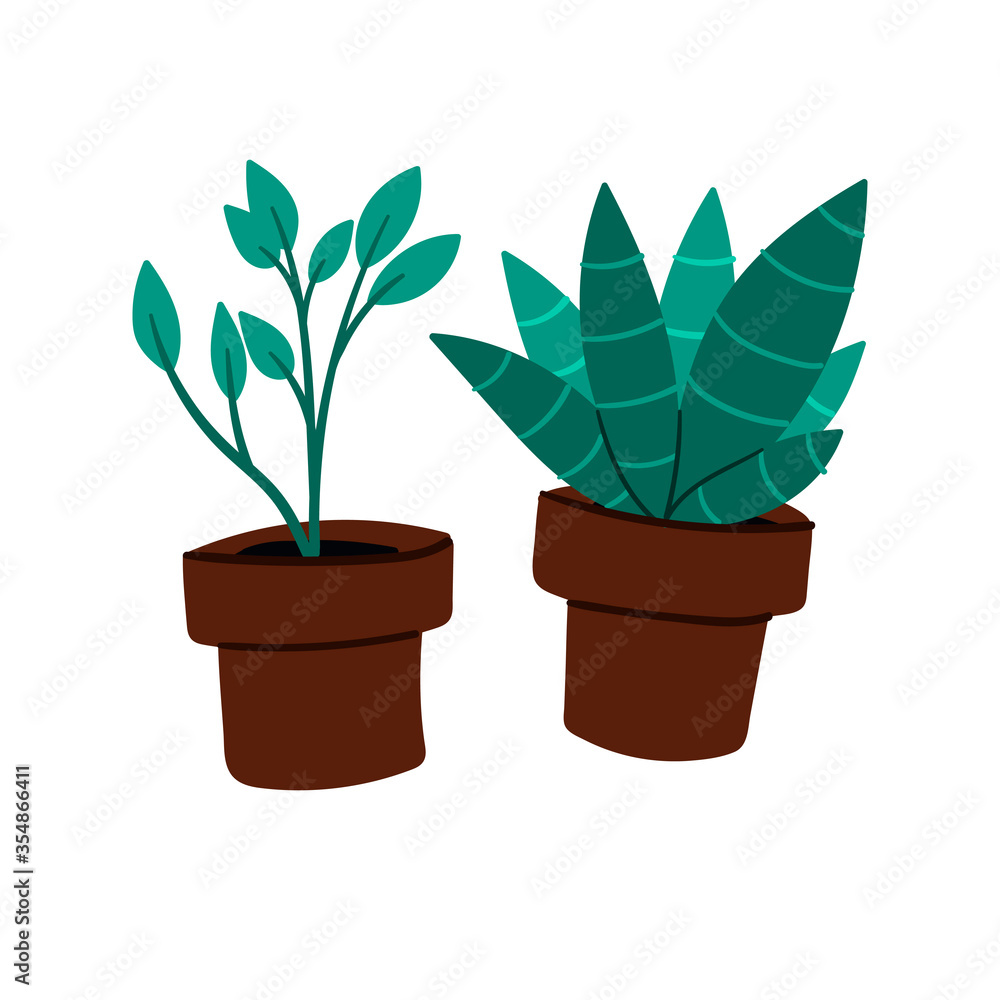 Two flowerpots. Indoor shade houseplants flat cartoon style. Hand drawn vector illustration. Two flowerpots. Indoor shade houseplants flat cartoon style. Hand drawn vector illustration.
