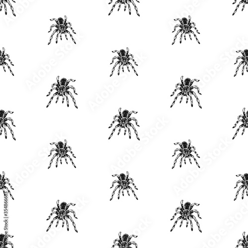 Seamless vector background of drawn poisonous spiders © Amili