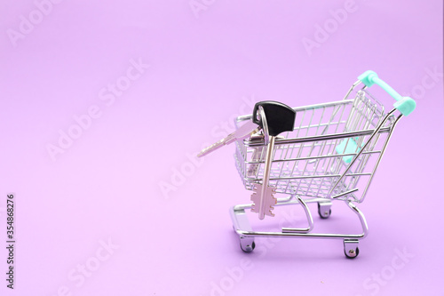 Mini shopping cart with keys for house isolated on color background  © Naz