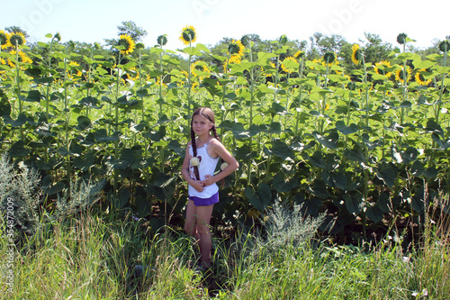 girl in the field with sunflowers