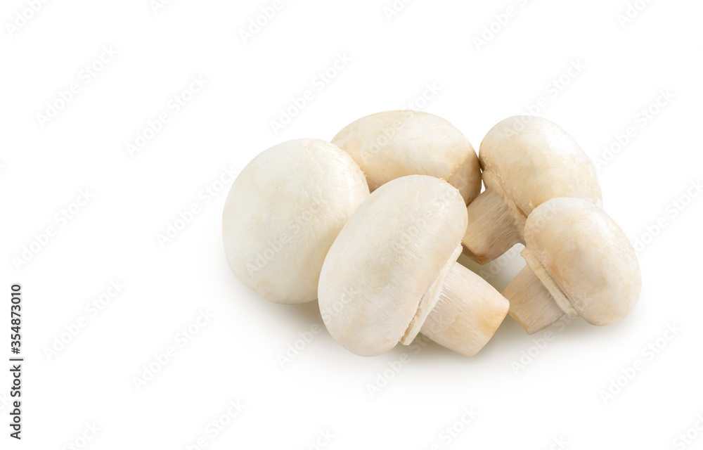 Close up organic fresh white mushroom or Champignon on white background. Isolated fresh white mushroom or white Champignon with clipping path around object in file.