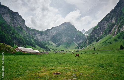 Landscape panorama near Seealpsee, Alpstein range of the canton of Appenzell, Switzerland. Green nature, mountains and meadows.