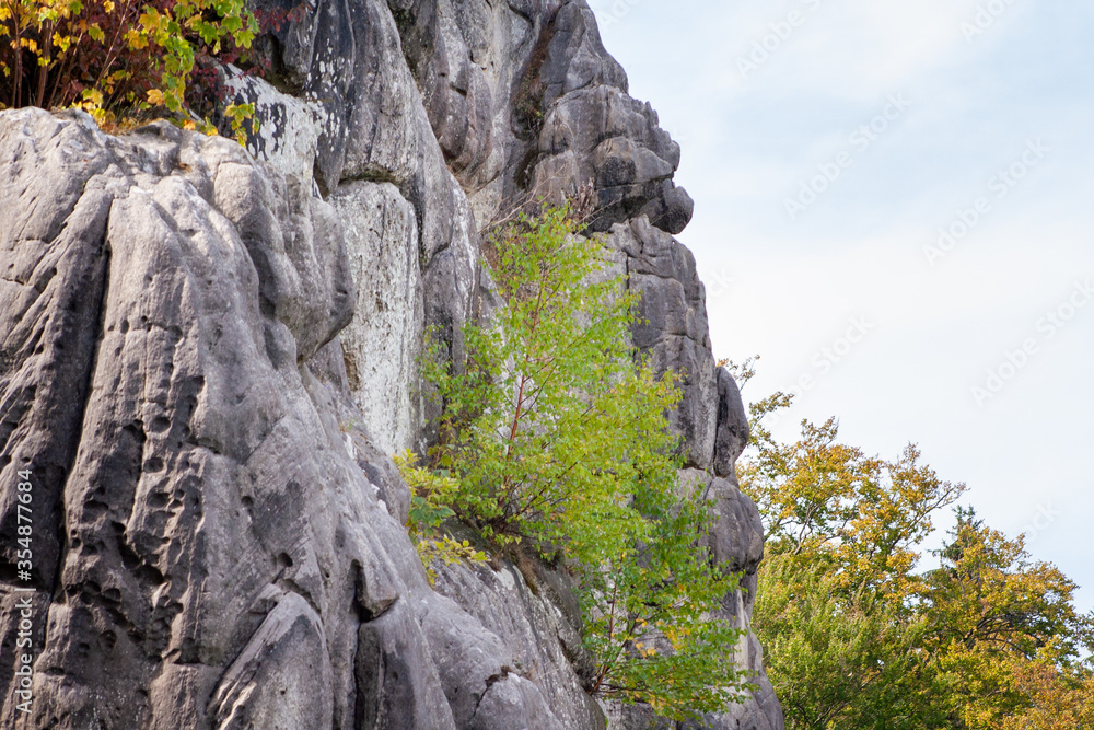 Fototapeta premium Sandstone rock formation Externsteine in Teutoburg Forest, Germany .
