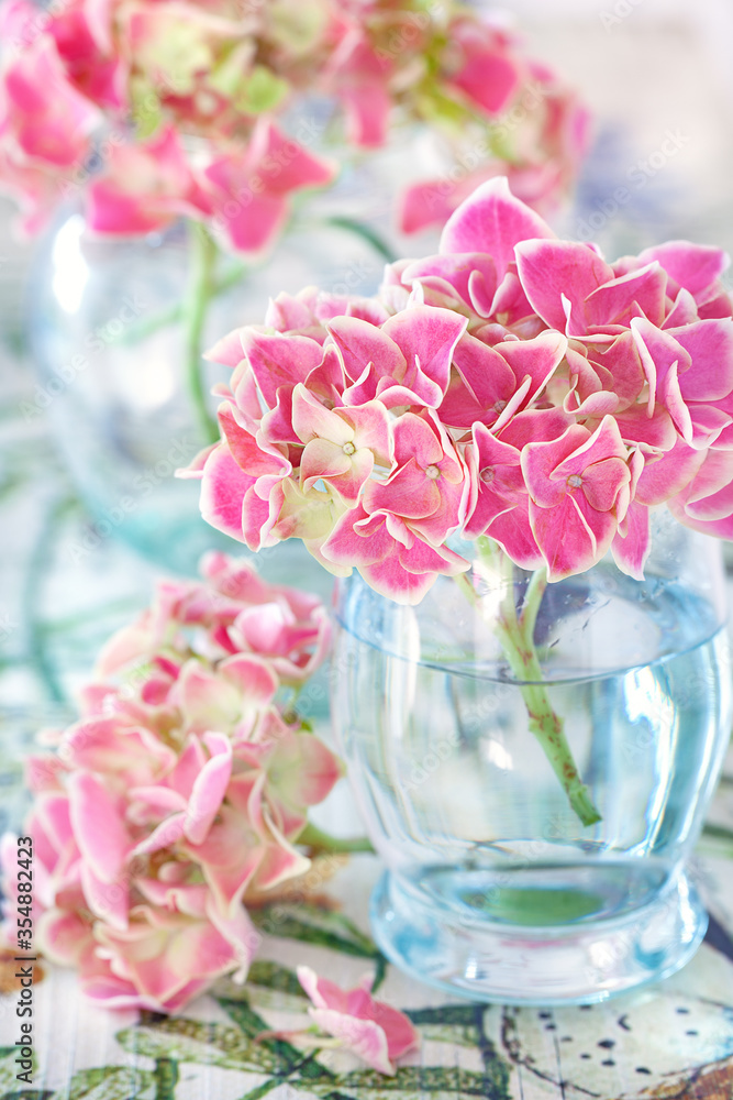 Pink hydrangea flowers in a beautiful vase on a colorful table Pink hydrangea flowers in a beautiful vase on a colorful table